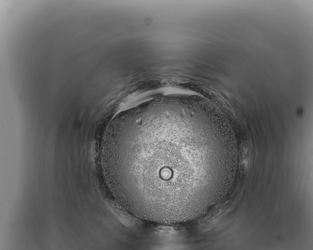 X0000090750519200707271448