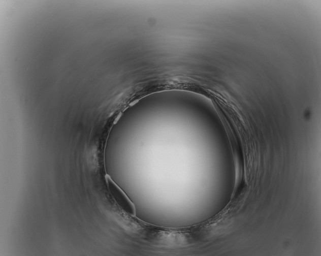 X0000090750520200707271448