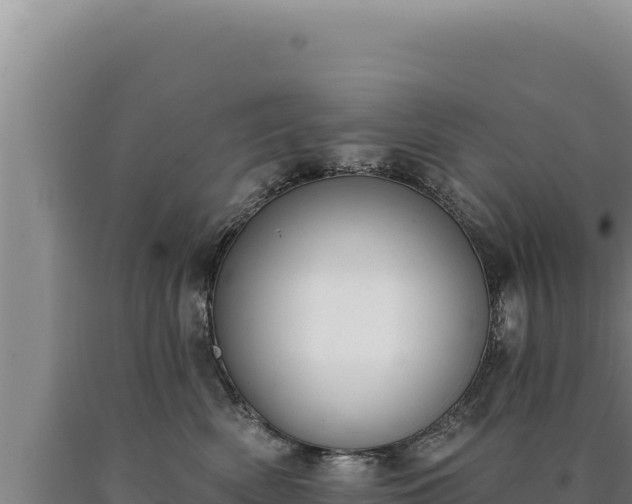 X0000090750522200707271448