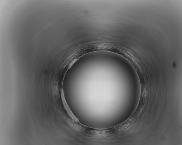 X0000090750524200707271448