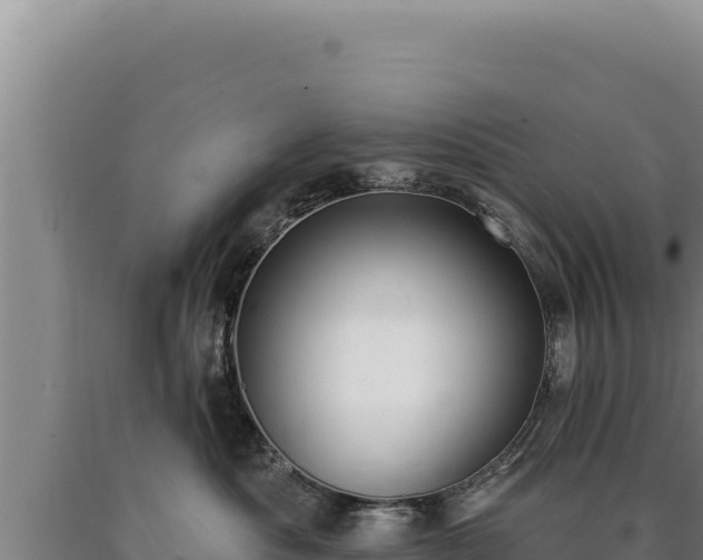 X0000090750525200707271448