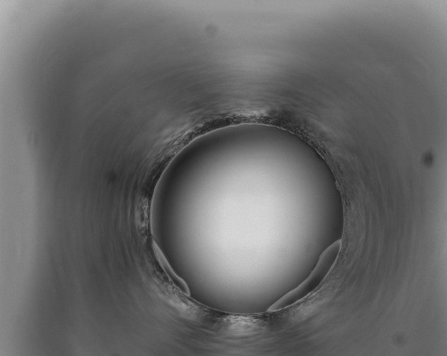 X0000090750528200707271448