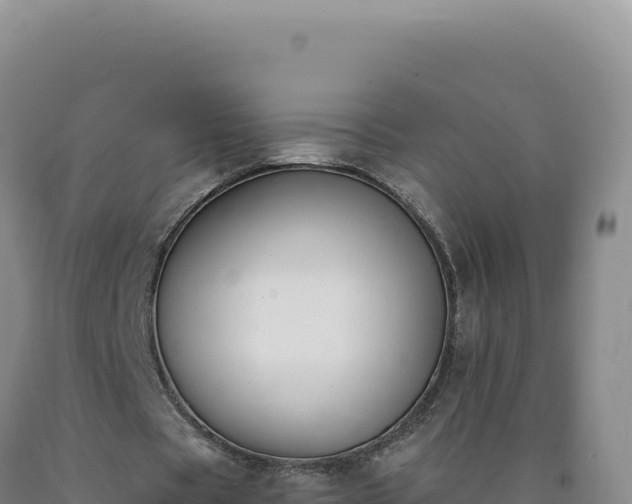 X0000090750529200707271447