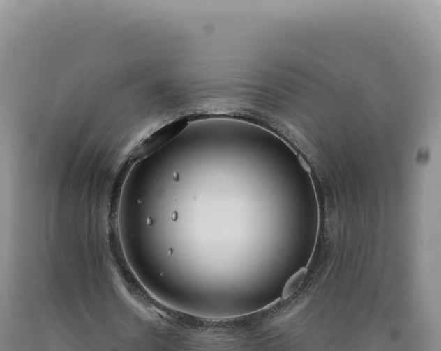 X0000090750530200707271447