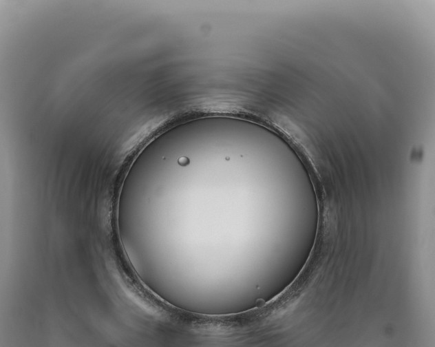 X0000090750533200707271447