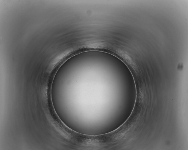 X0000090750535200707271447