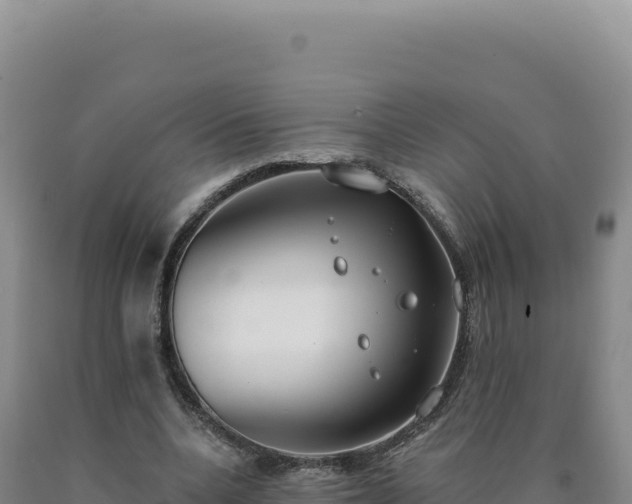 X0000090750536200707271447