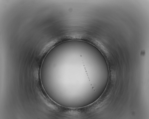 X0000090750537200707271447