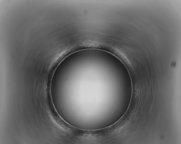 X0000090750538200707271447