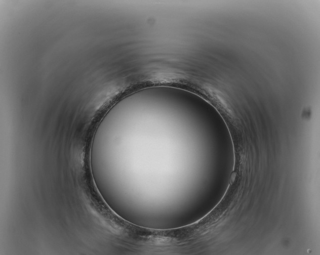 X0000090750539200707271447