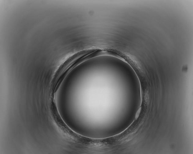 X0000090750540200707271447