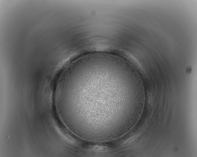 X0000090750542200707271447