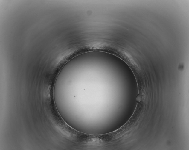 X0000090750543200707271447