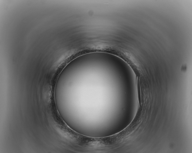 X0000090750544200707271447