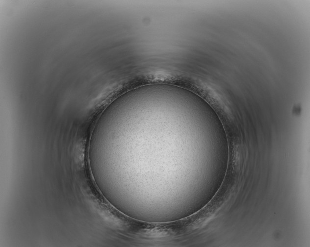 X0000090750545200707271447