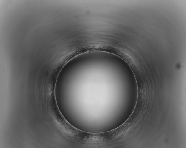 X0000090750546200707271447