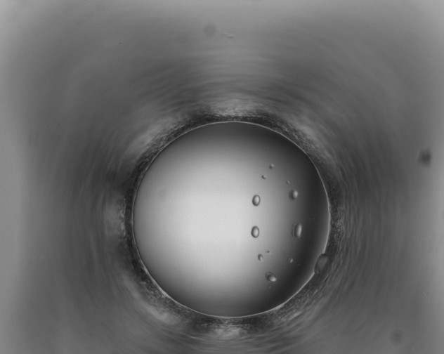 X0000090750547200707271447