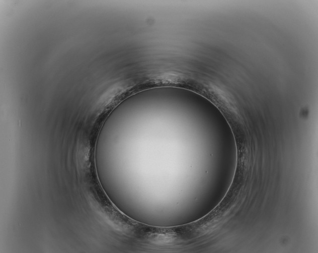 X0000090750548200707271447