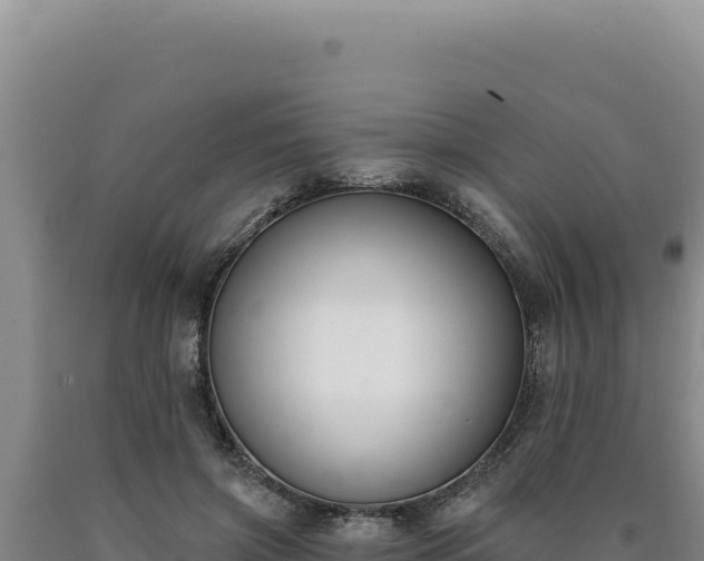 X0000090750549200707271447