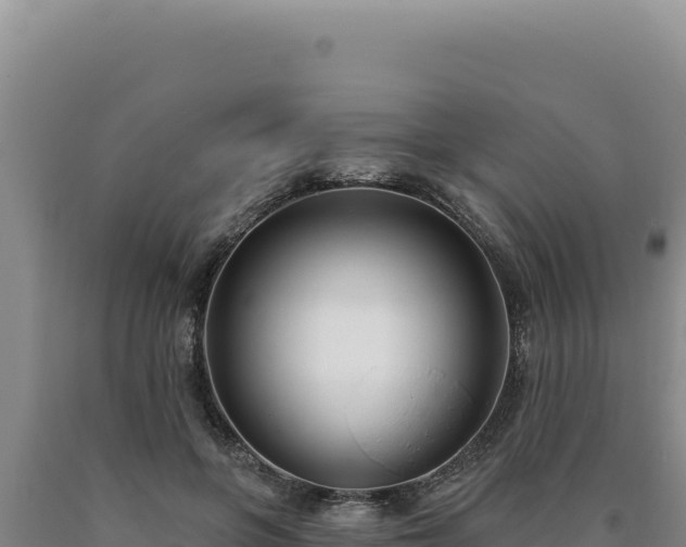 X0000090750551200707271447