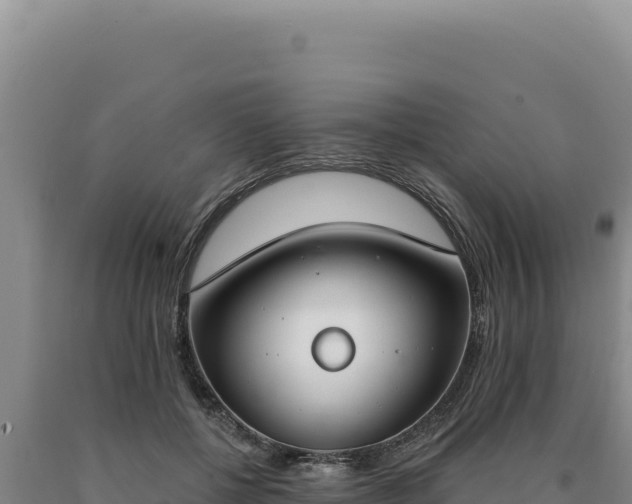 X0000090750552200707271447