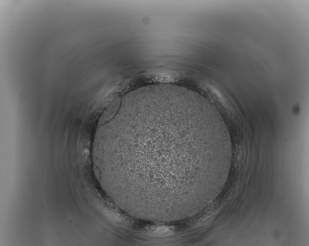 X0000090750553200707271447