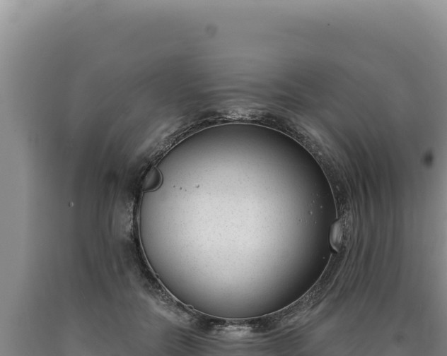 X0000090750554200707271447