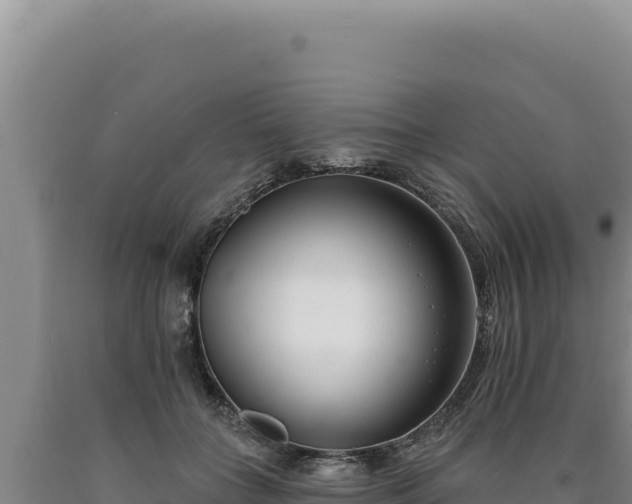 X0000090750555200707271447