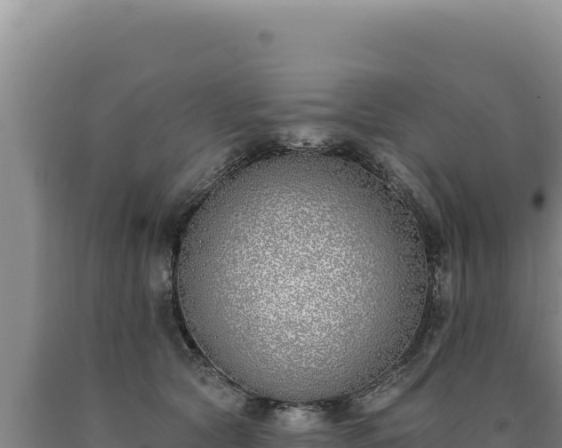 X0000090750561200707271447