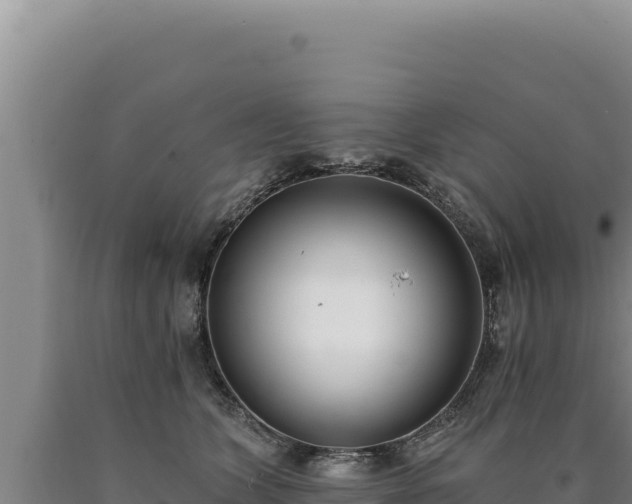 X0000090750563200707271447