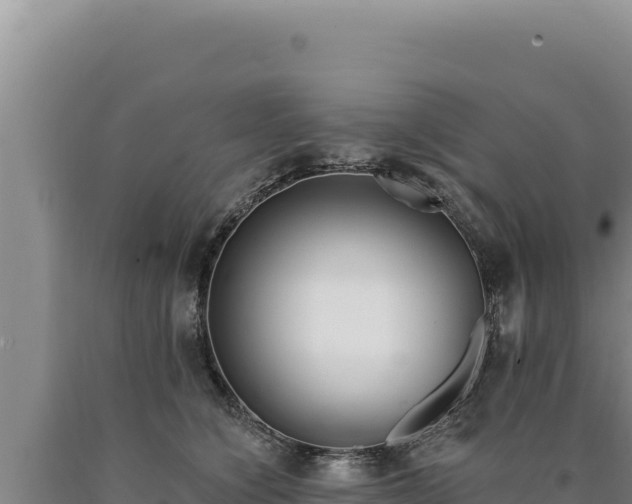 X0000090750564200707271447