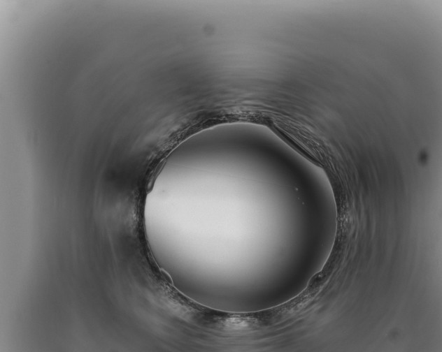 X0000090750566200707271447