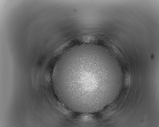 X0000090750569200707271448