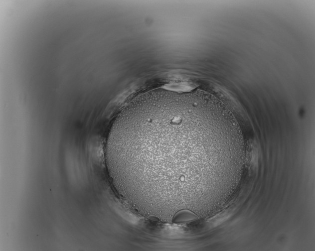 X0000090750573200707271448