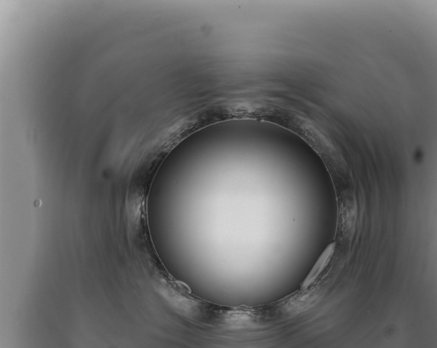 X0000090750574200707271448