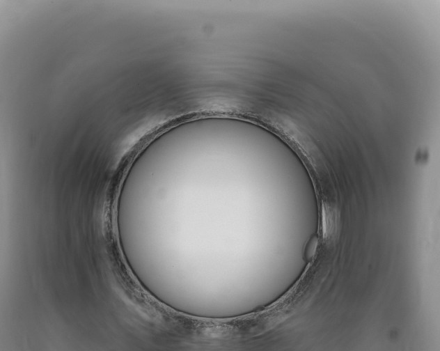 X0000090750579200707271447