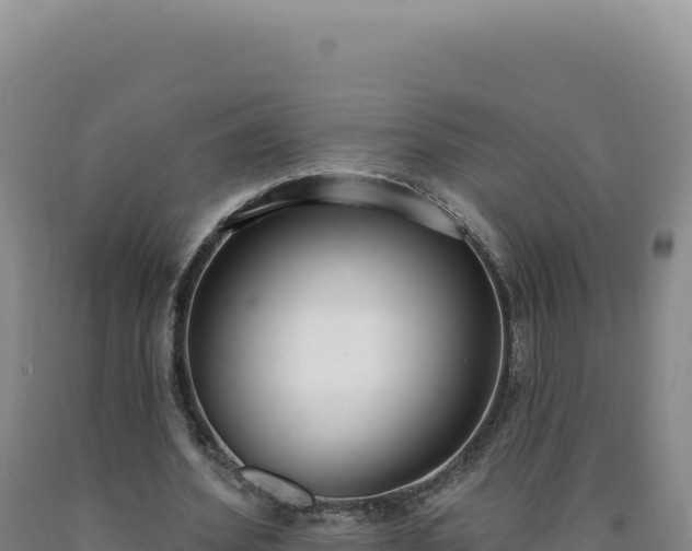 X0000090750580200707271447