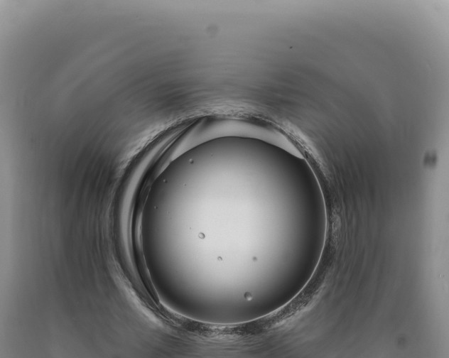 X0000090750581200707271447