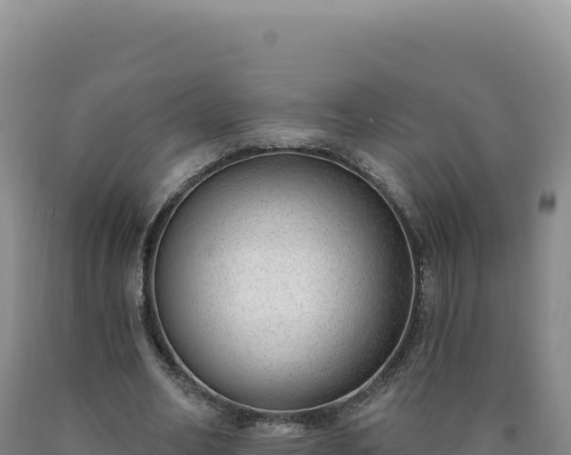 X0000090750582200707271447