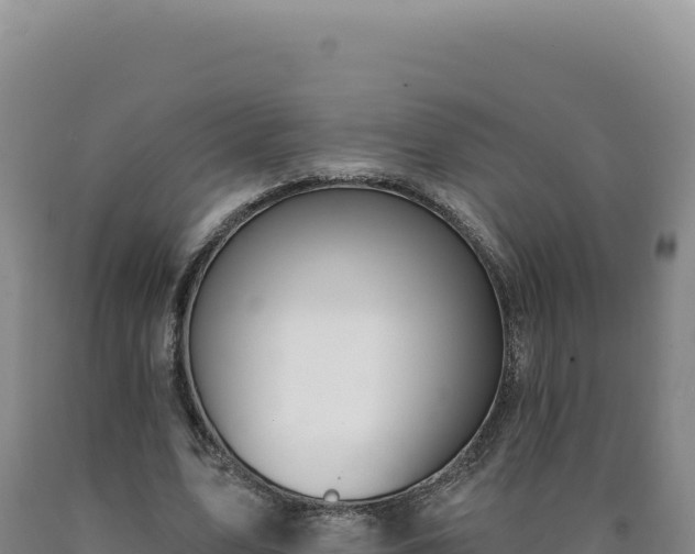 X0000090750583200707271447