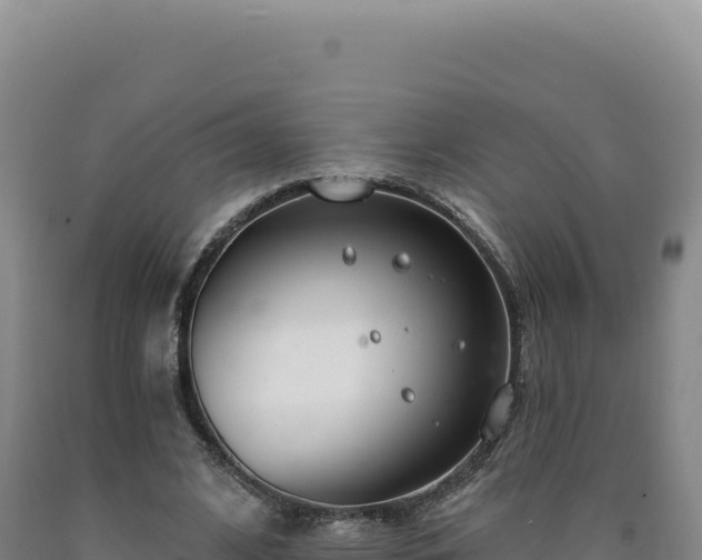 X0000090750584200707271447