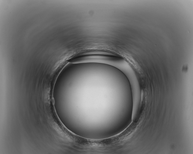 X0000090750585200707271447