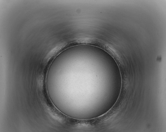 X0000090750586200707271447