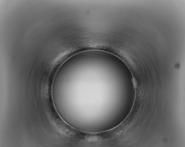 X0000090750587200707271447