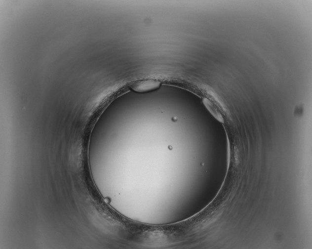 X0000090750588200707271447