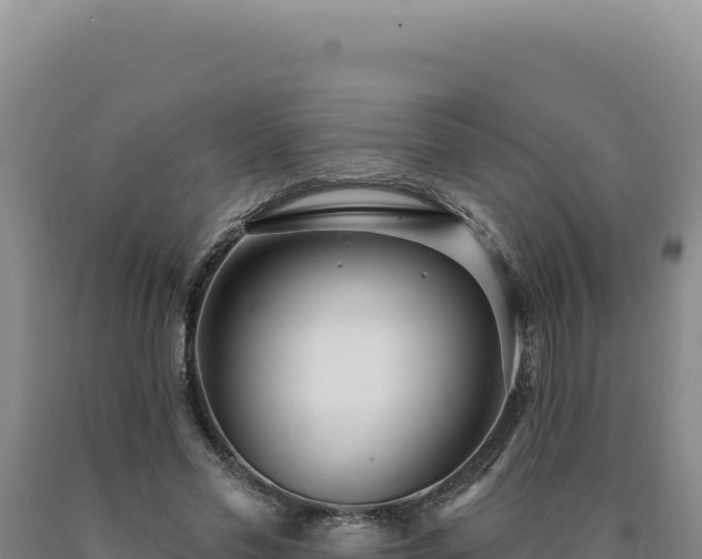 X0000090750589200707271447