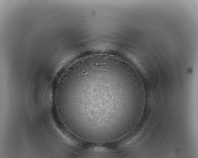 X0000090750590200707271447