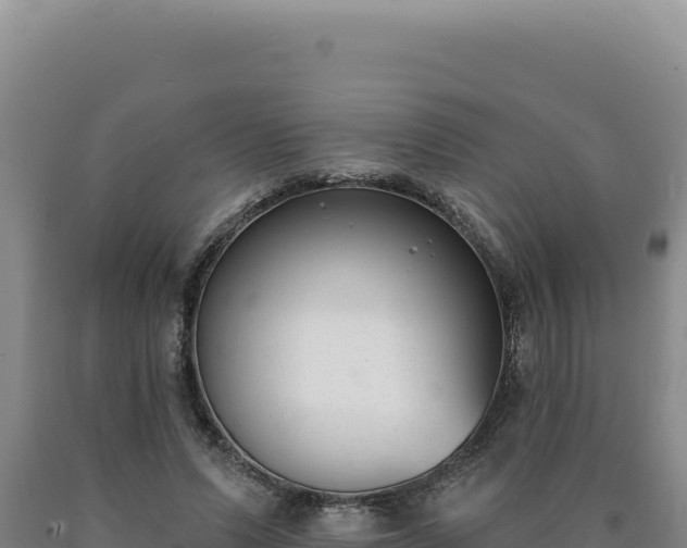 X0000090750591200707271447