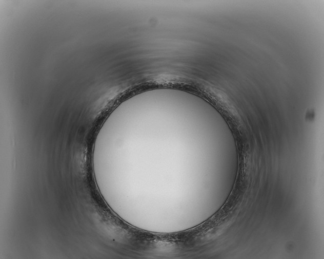 X0000090750592200707271447