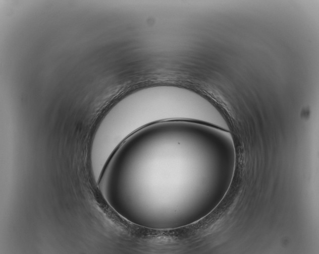 X0000090750593200707271447